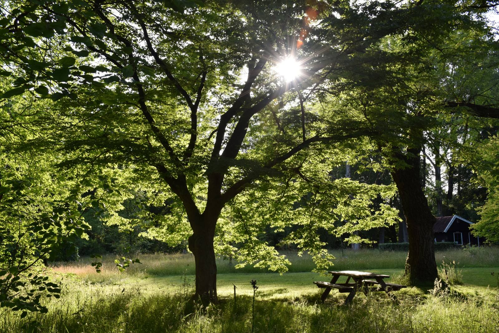 Arrangementen bij Erve Punte