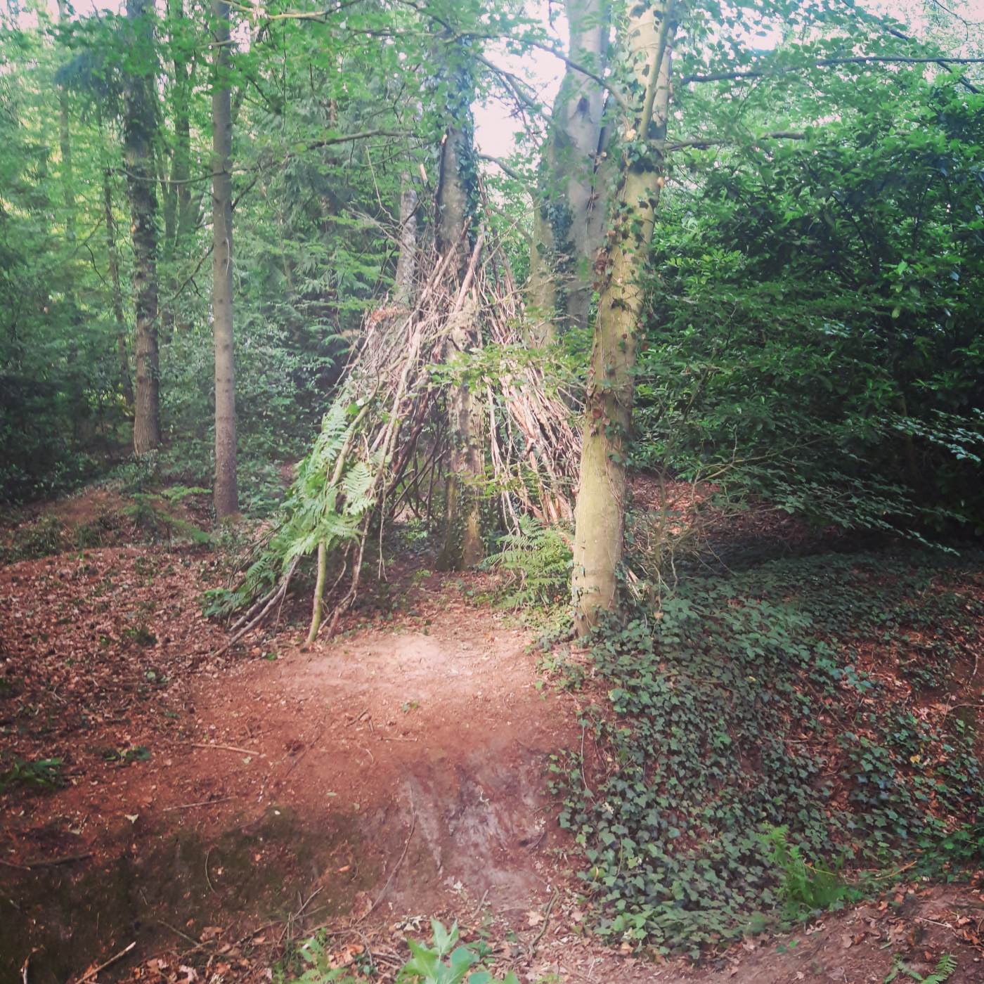 Sagen en legendes in Twente