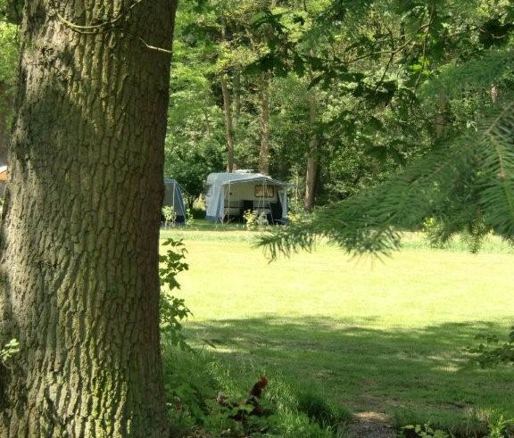 Kamperen bij Erve Punte