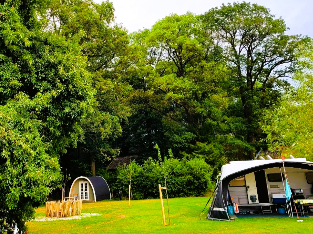 fruitbomen rondom camping vierkant