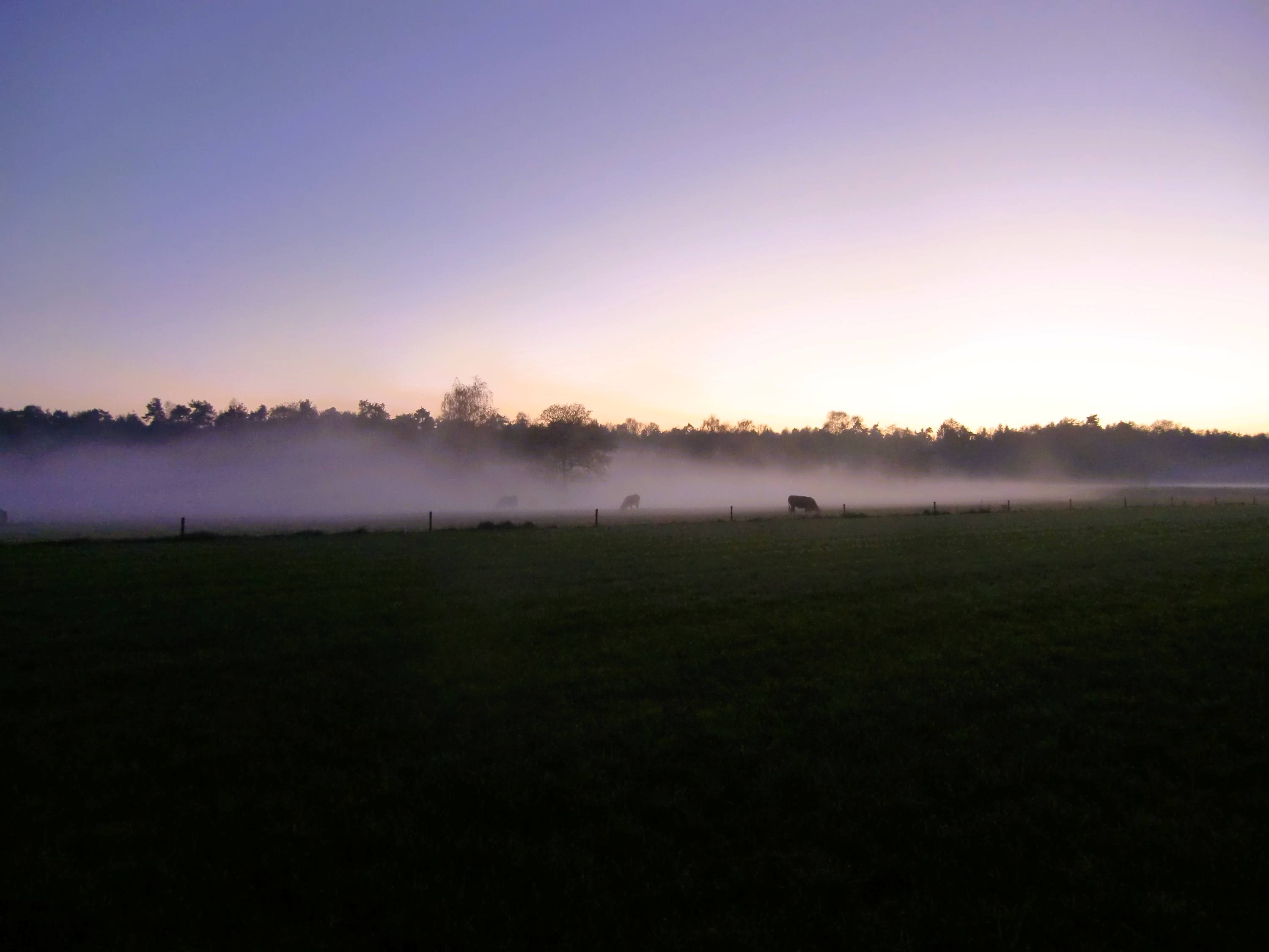 Herfst bij Erve Punte