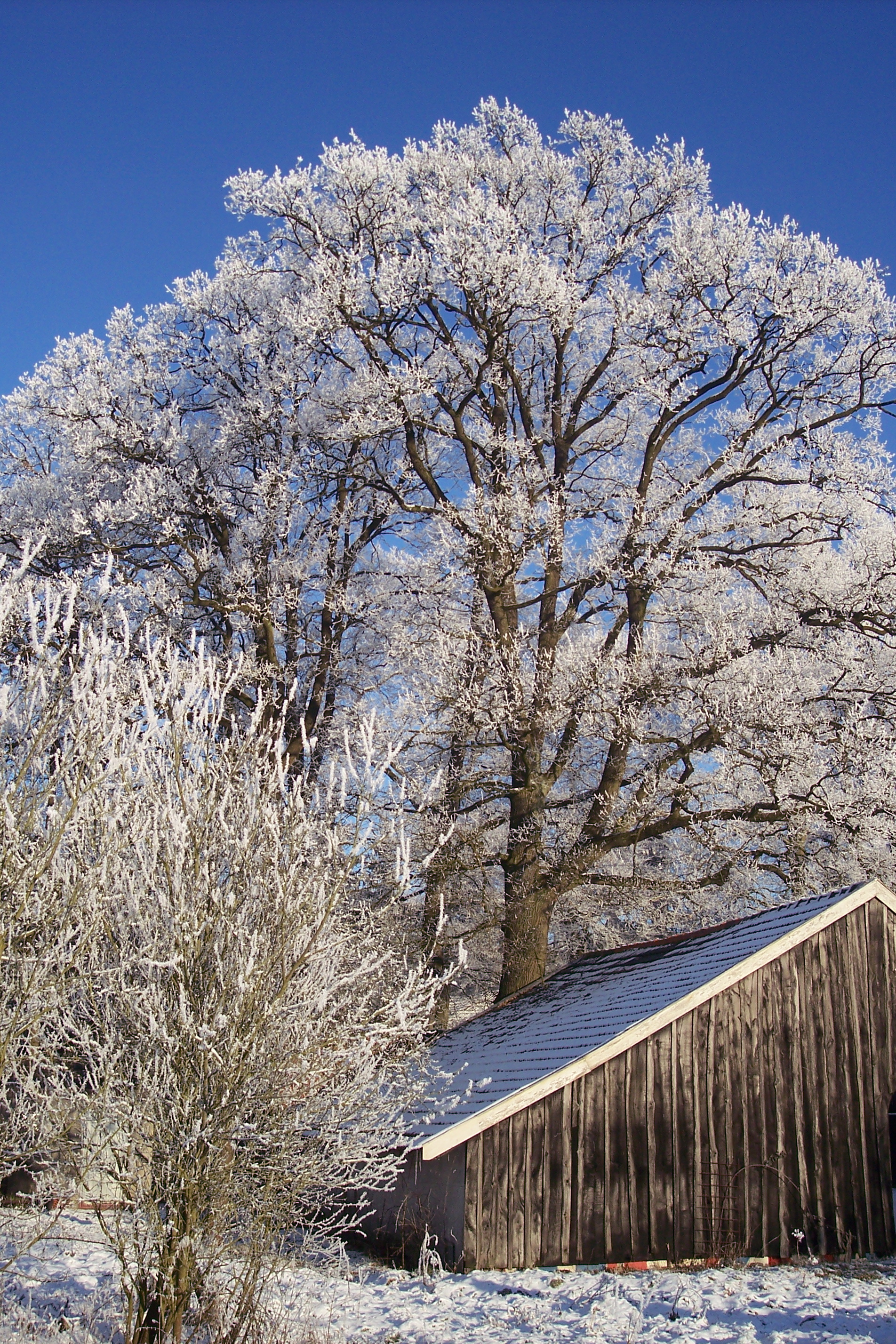 Winter in Twente