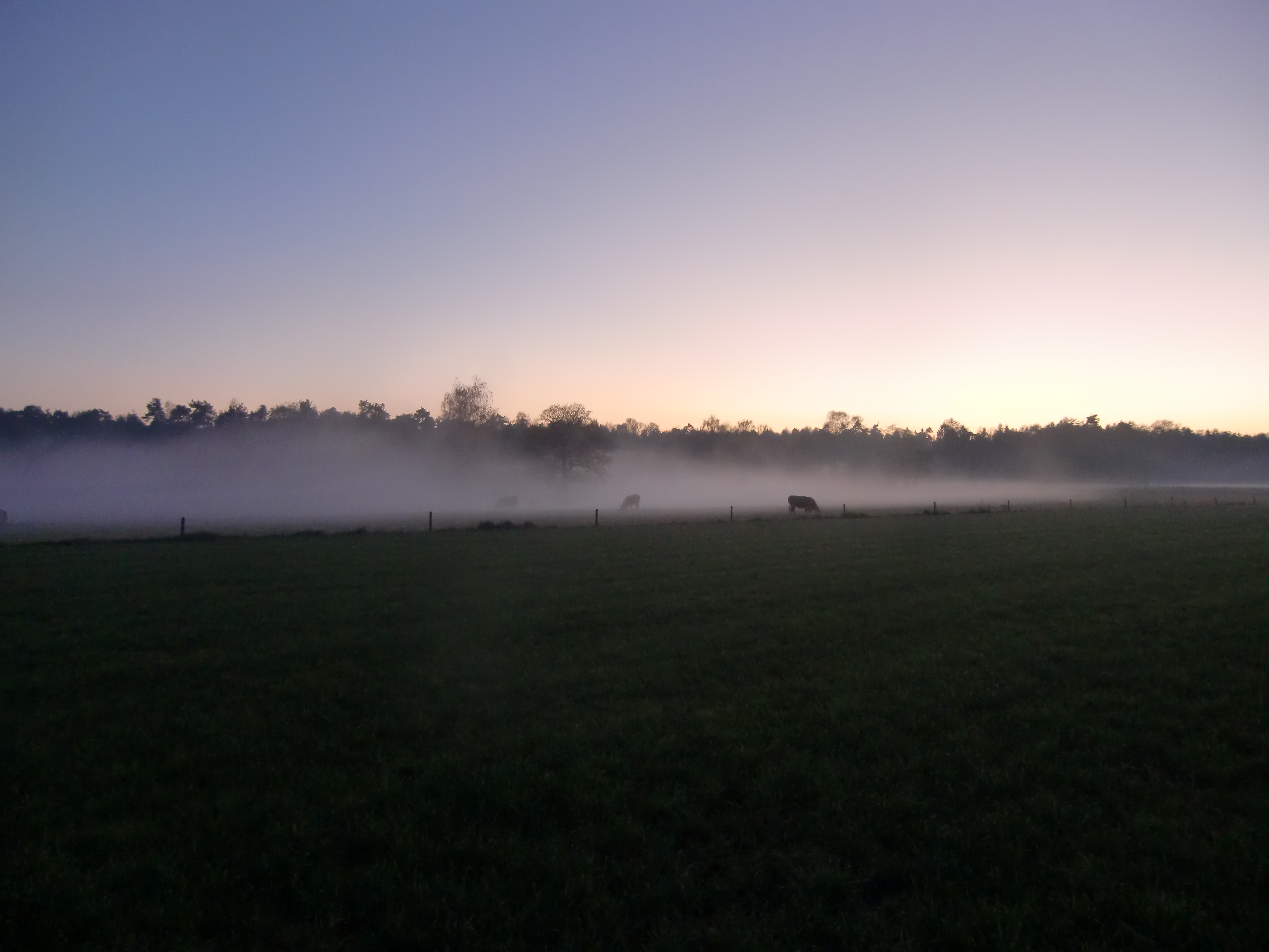 Herbst bei Erve Punte