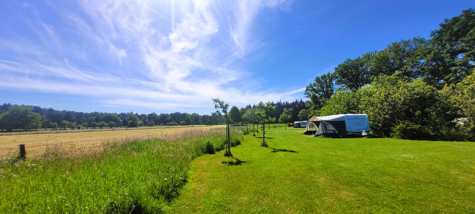 fruitbomen rondom camping vierkant