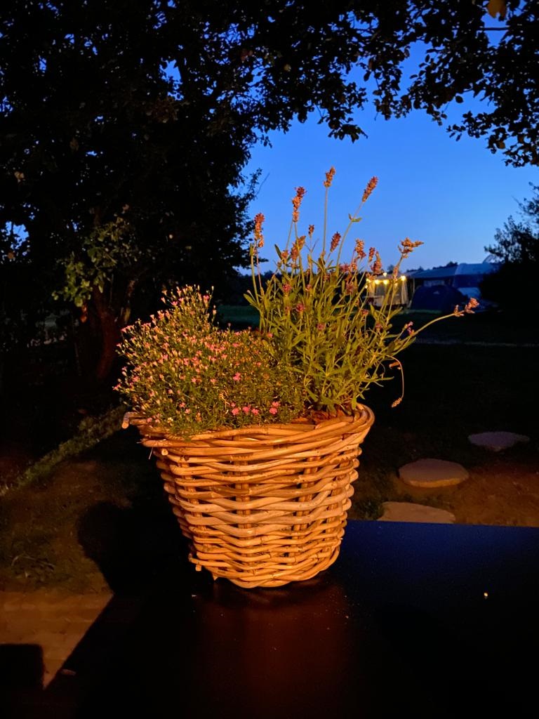 Boerderijkamers bij Erve Punte