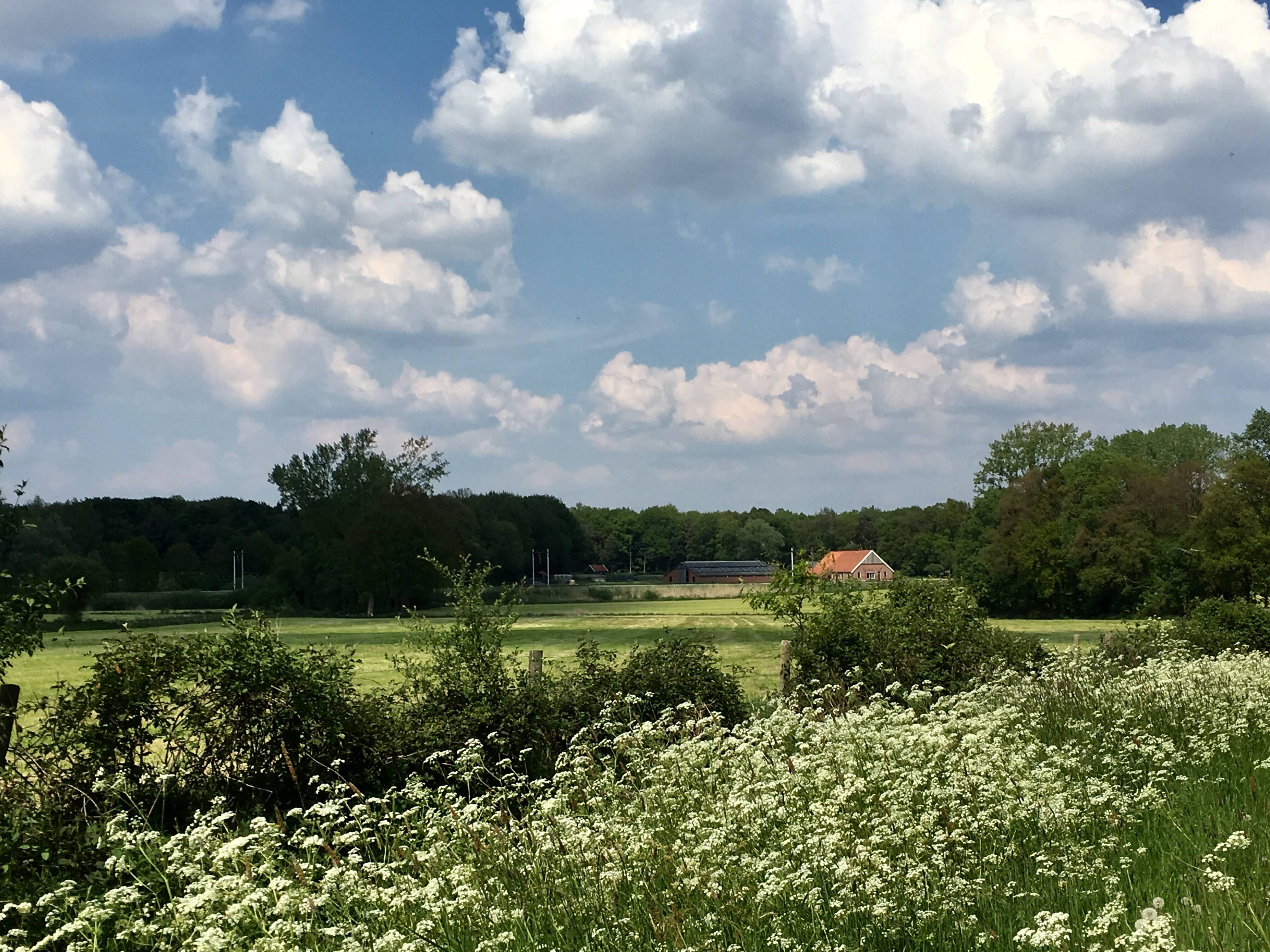 Frühling in Twente