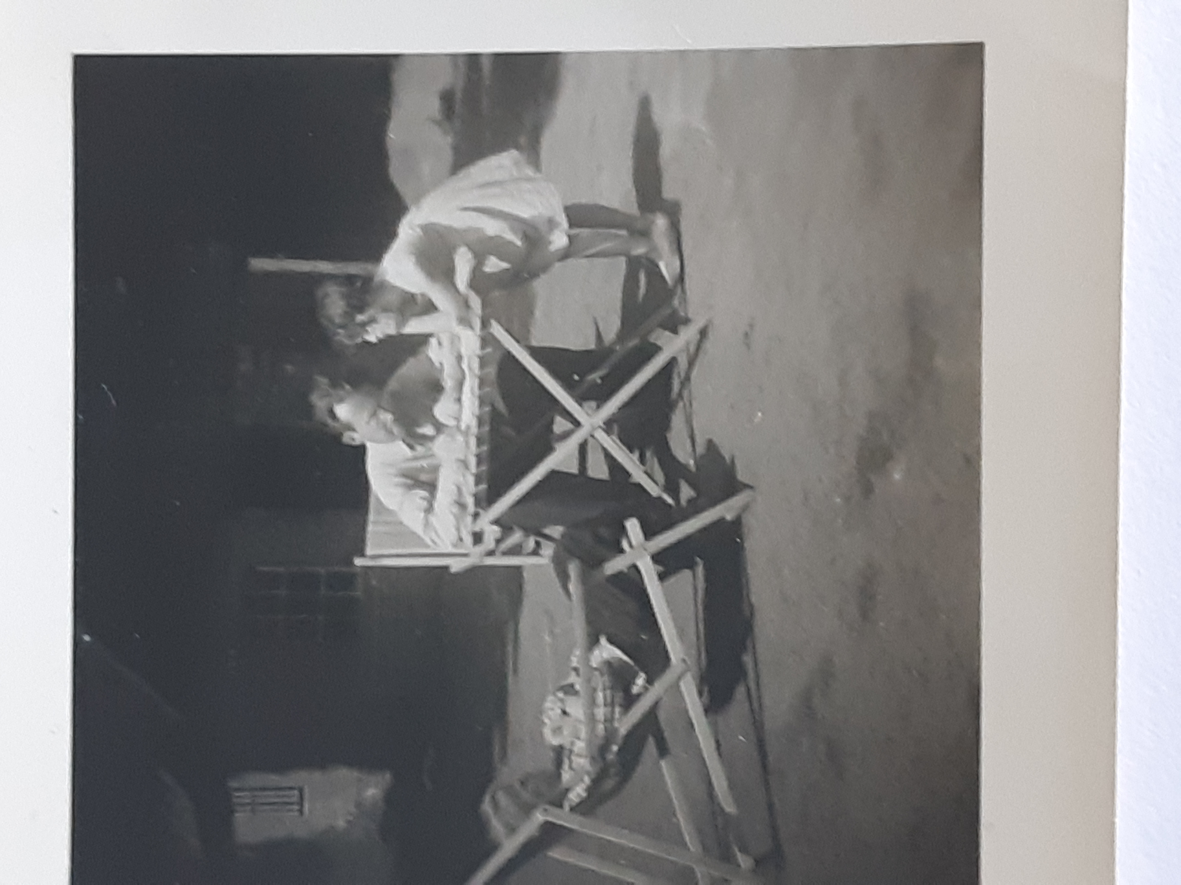 Fruit plukken Erve Punte